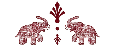 shaswatexim.com logo icon